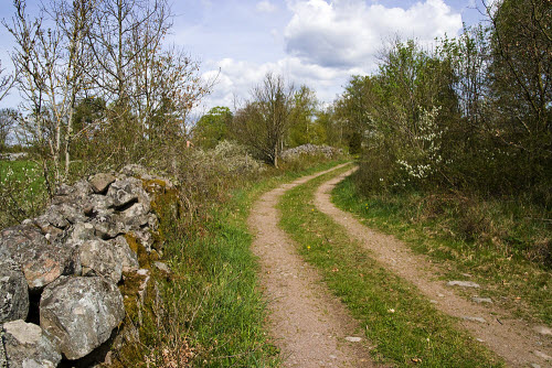 Kalmarsundsleden walking trail passing nearby